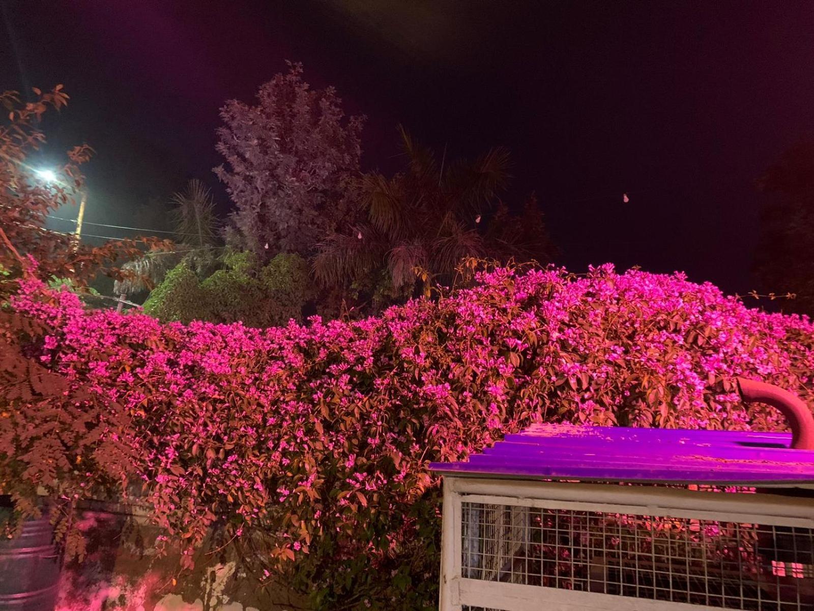 אגרה Nature Resort מראה חיצוני תמונה
