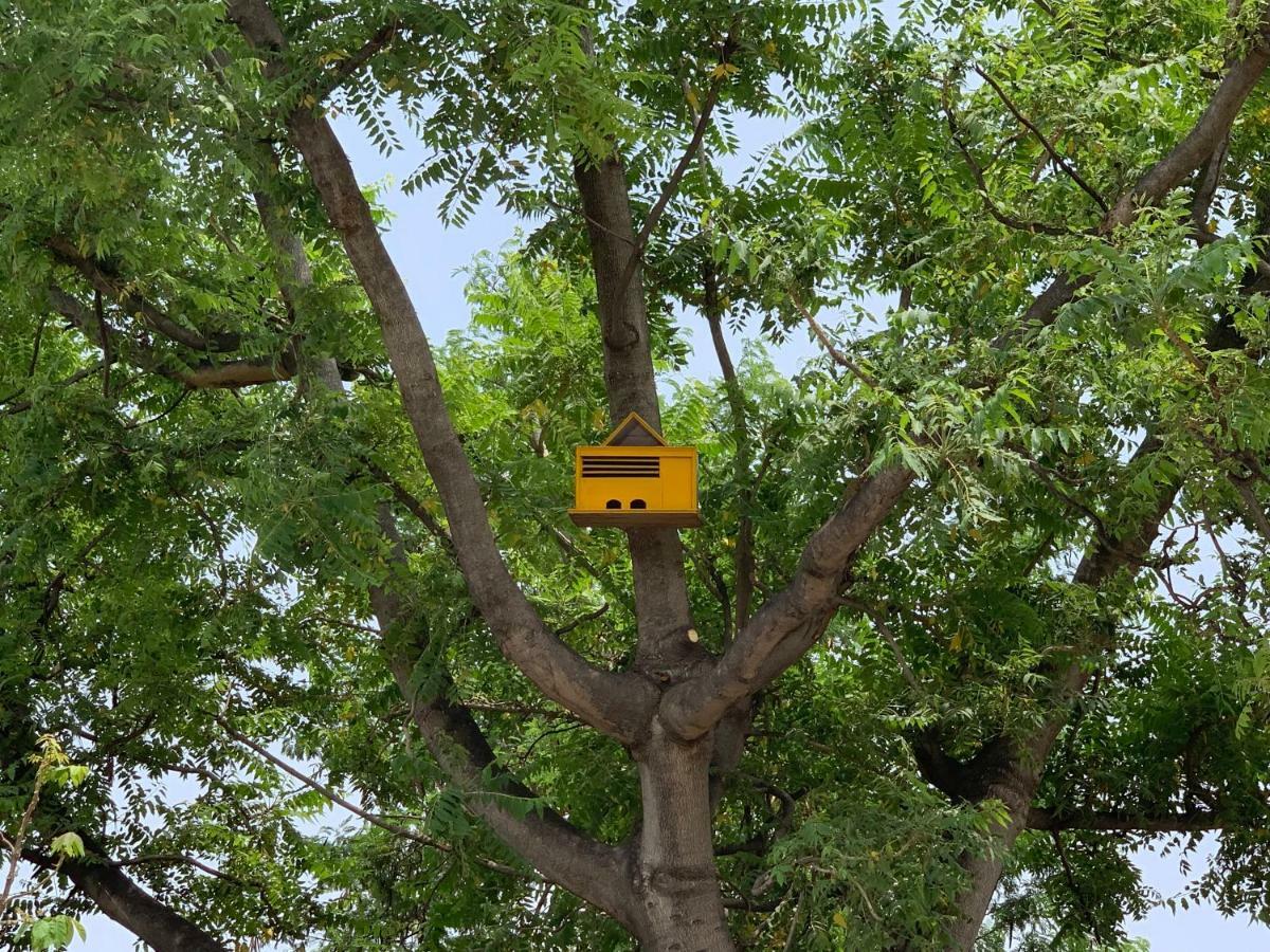 אגרה Nature Resort מראה חיצוני תמונה